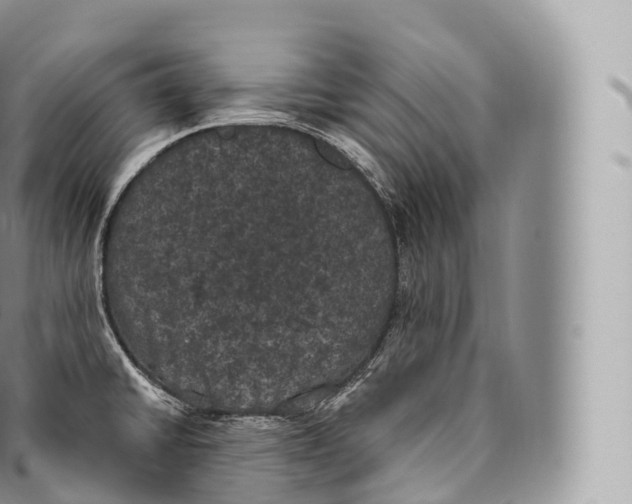 X0000096491430200802141735