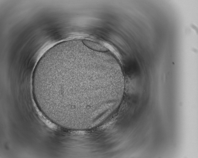 X0000096491431200802141735