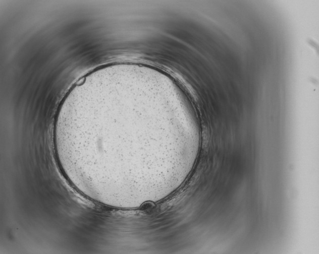 X0000096491432200802141735