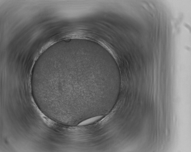 X0000096491434200802141735