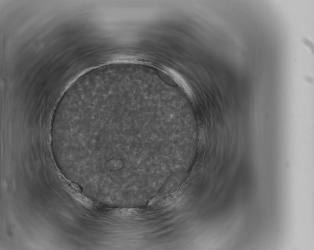 X0000096491435200802141735