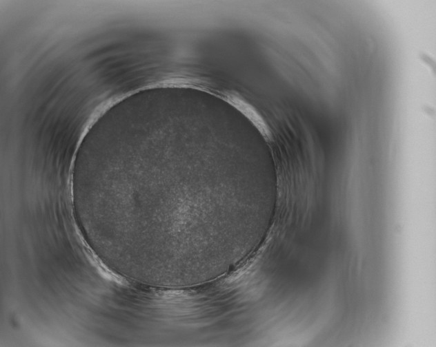 X0000096491436200802141735