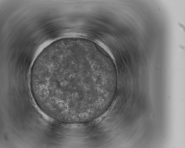 X0000096491437200802141735