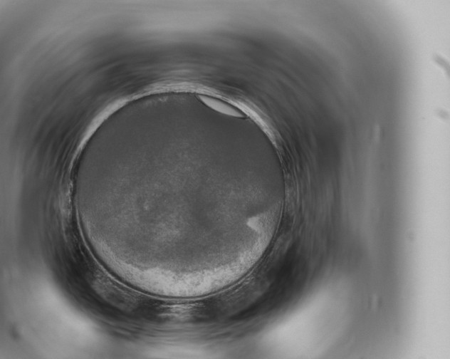 X0000096491438200802141735