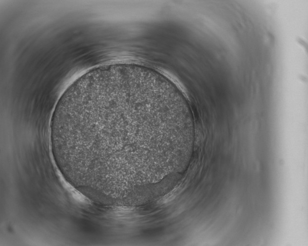 X0000096491439200802141735