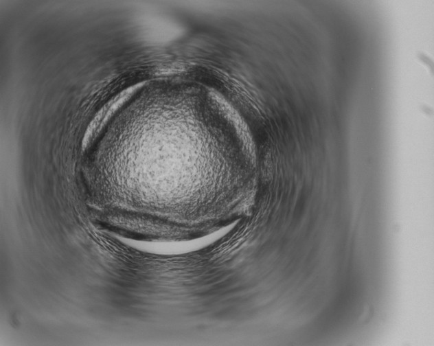 X0000096491441200802141734