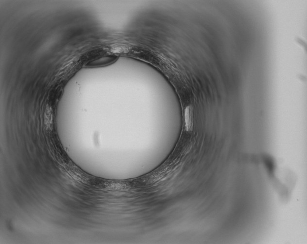 X0000096491443200802141734