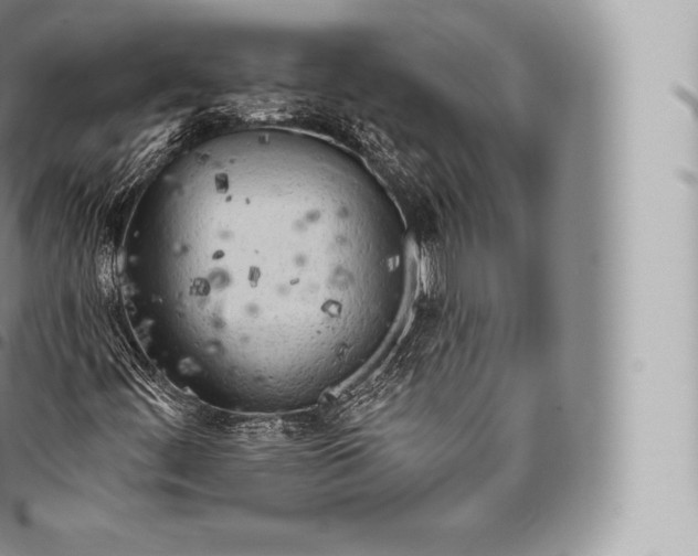 X0000096491444200802141734