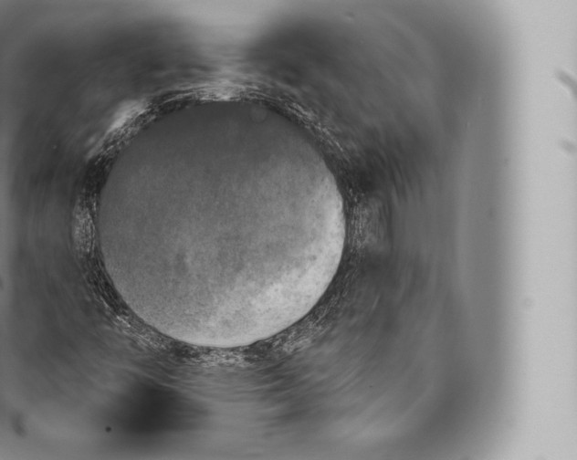 X0000096491446200802141734