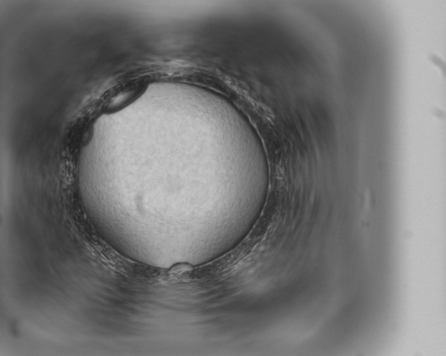 X0000096491447200802141734