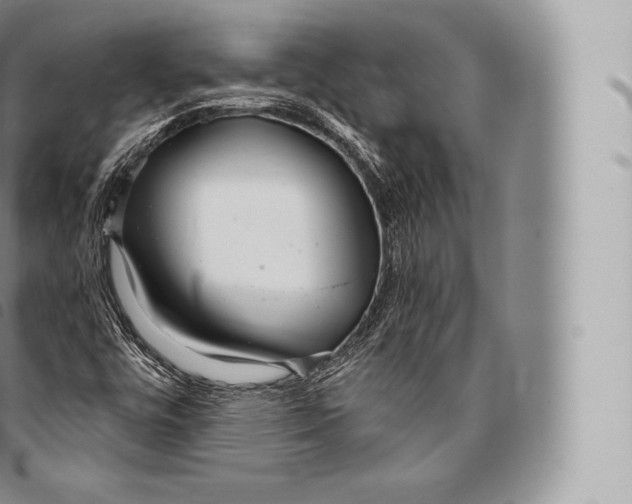 X0000096491448200802141734