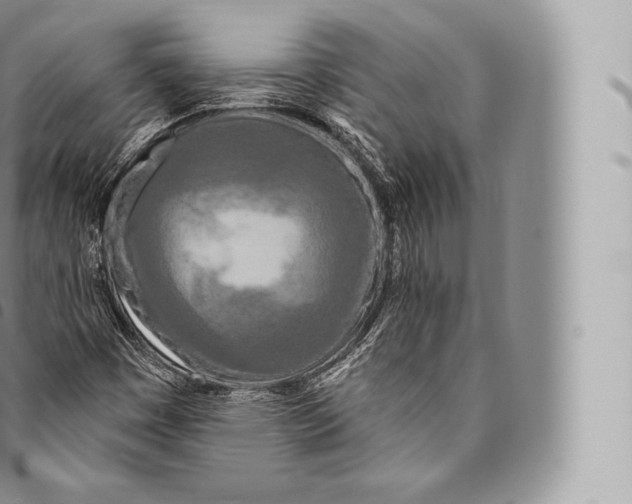 X0000096491449200802141734