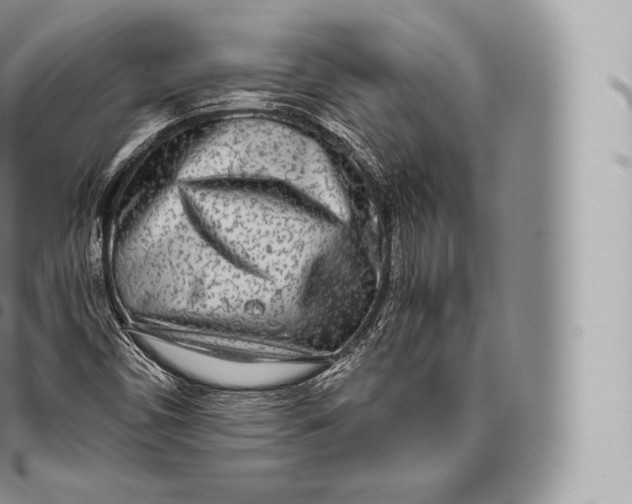 X0000096491450200802141734