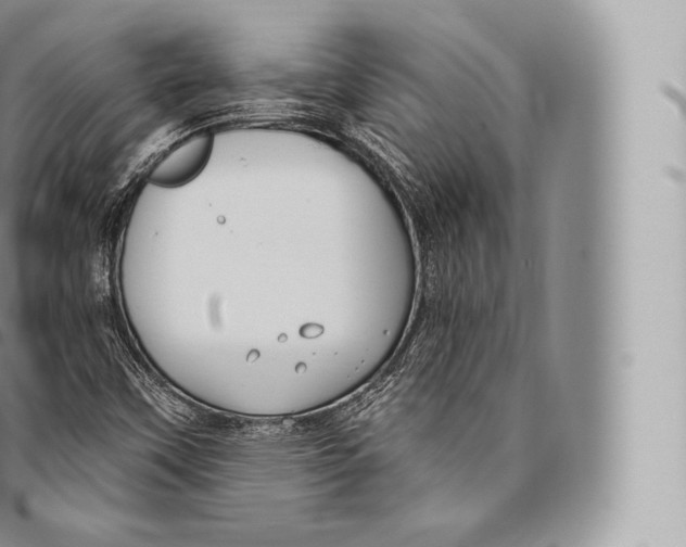 X0000096491451200802141734