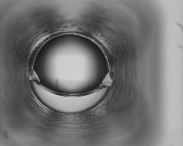 X0000096491452200802141734