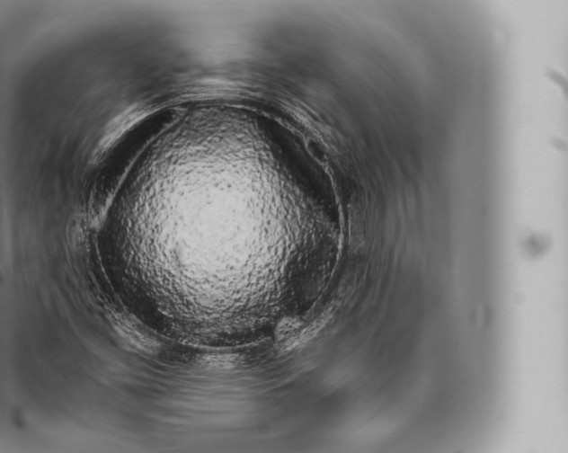 X0000096491453200802141734