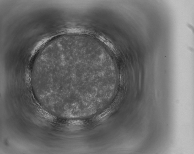 X0000096491454200802141734