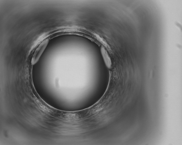 X0000096491456200802141734