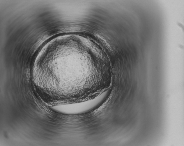 X0000096491457200802141734