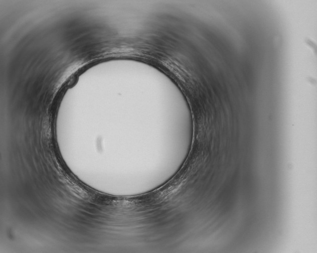 X0000096491458200802141734