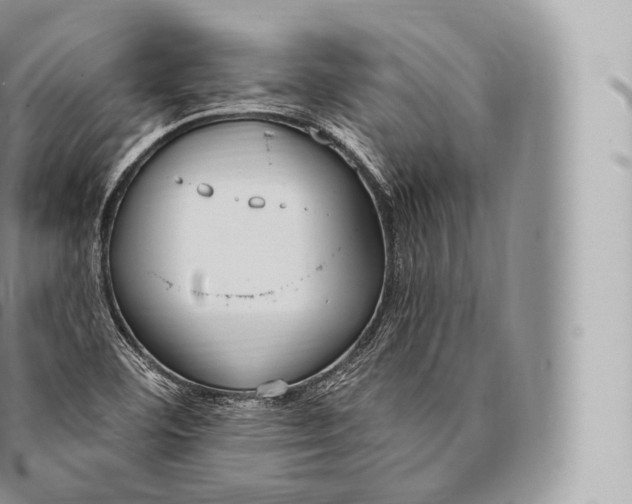 X0000096491460200802141734