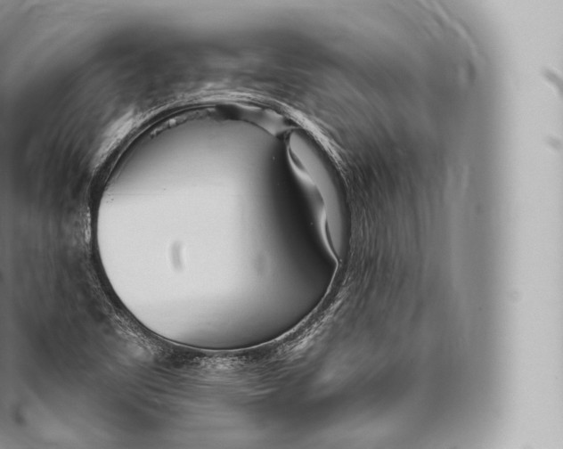 X0000096491461200802141734