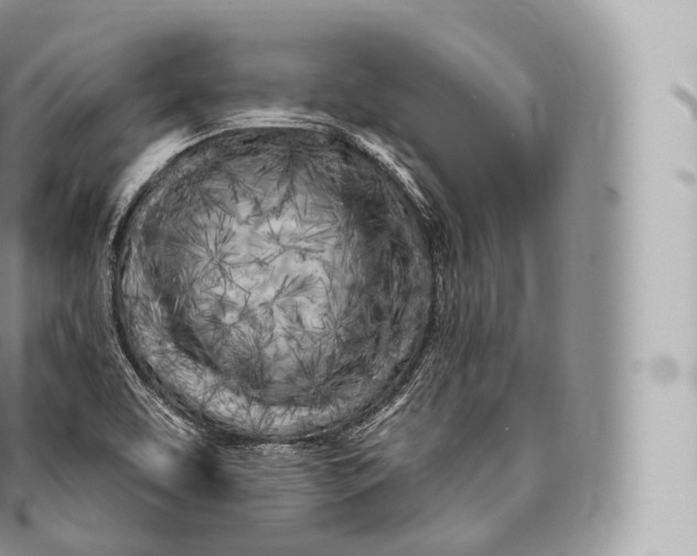 X0000096491463200802141734