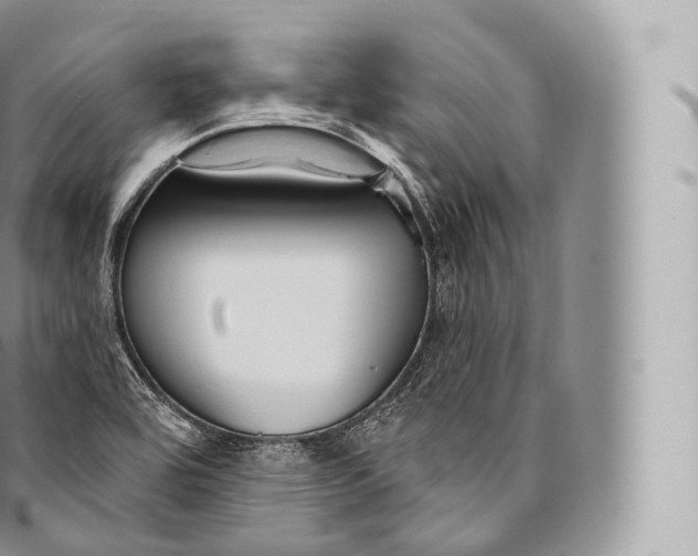 X0000096491464200802141734