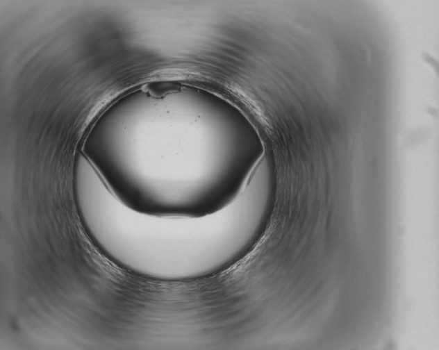 X0000096491465200802141734