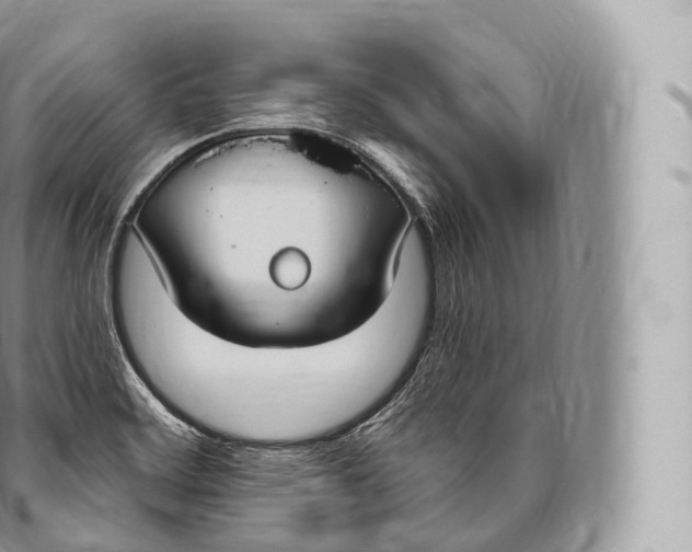 X0000096491468200802141734