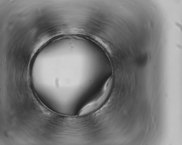 X0000096491469200802141734