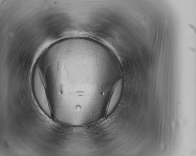 X0000096491472200802141734