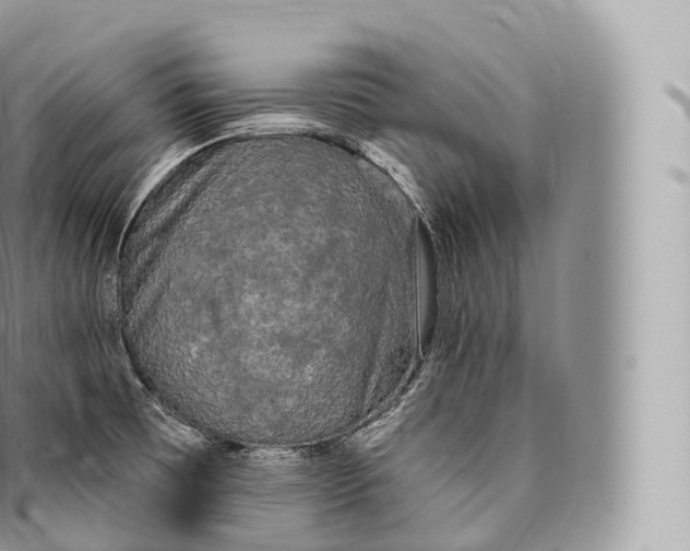 X0000096491473200802141734