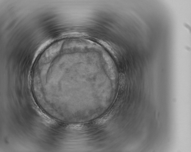 X0000096491474200802141734