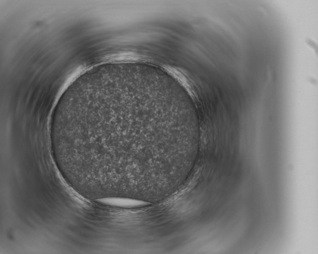 X0000096491475200802141734