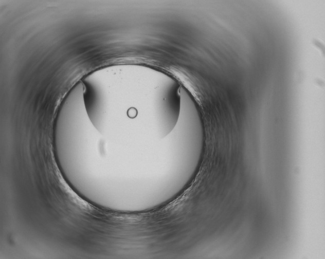 X0000096491476200802141734