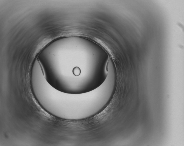 X0000096491477200802141734