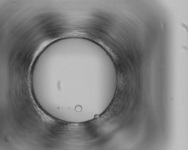 X0000096491478200802141734