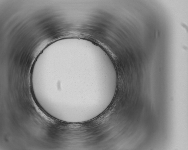 X0000096491479200802141734