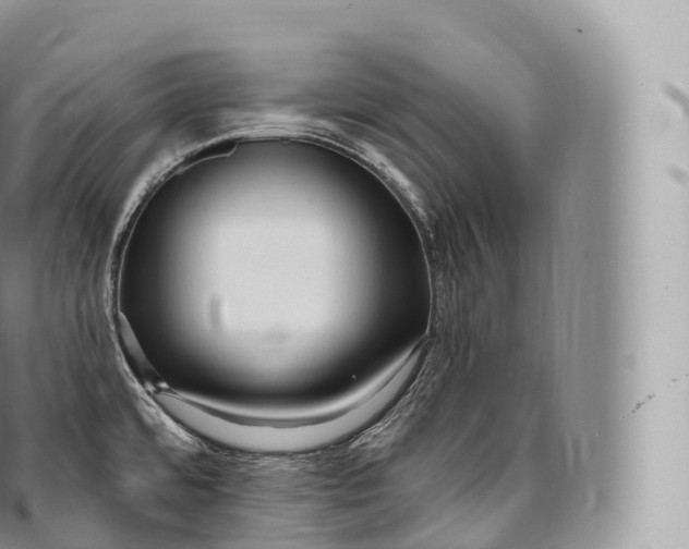 X0000096491480200802141734