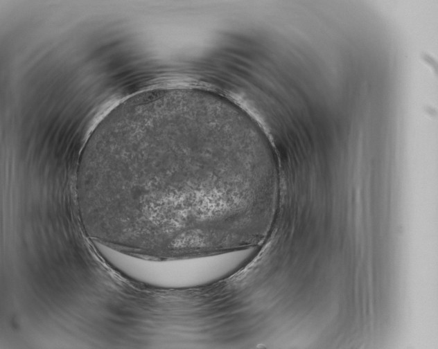 X0000096491481200802141734