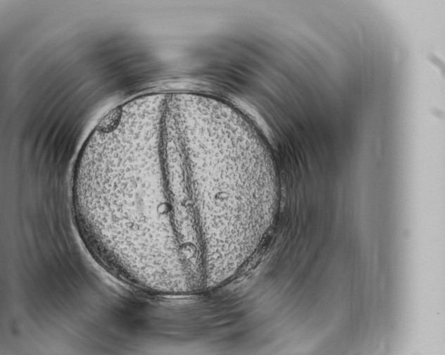 X0000096491483200802141733