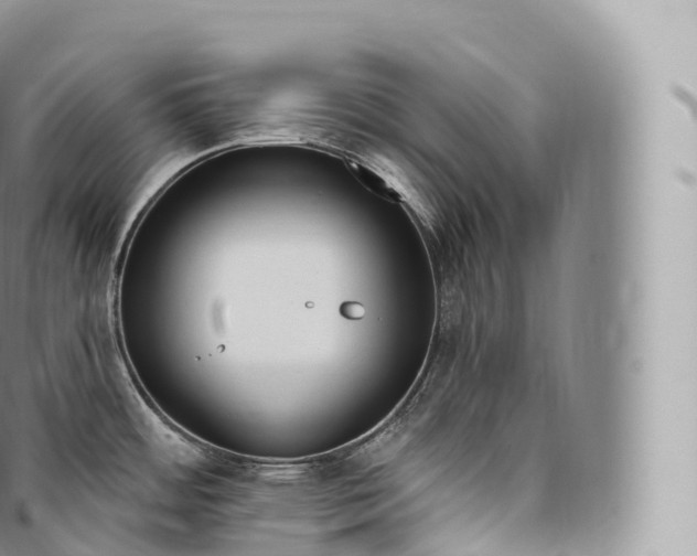 X0000096491484200802141733