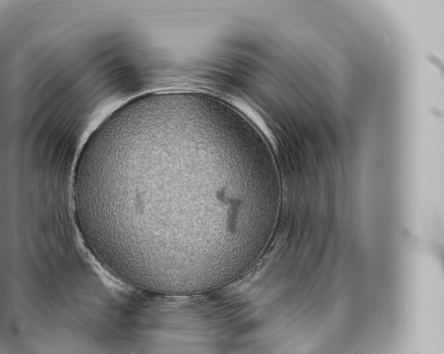 X0000096491485200802141733