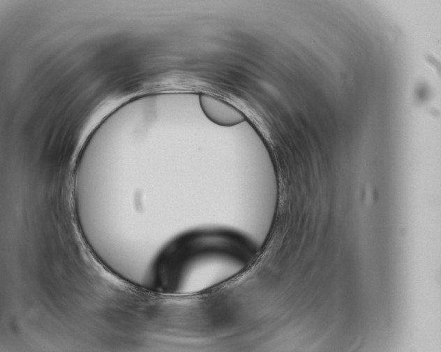 X0000096491486200802141733