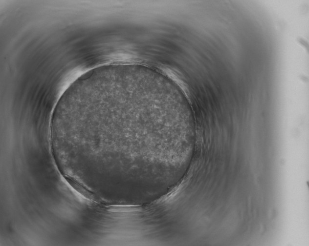 X0000096491487200802141733