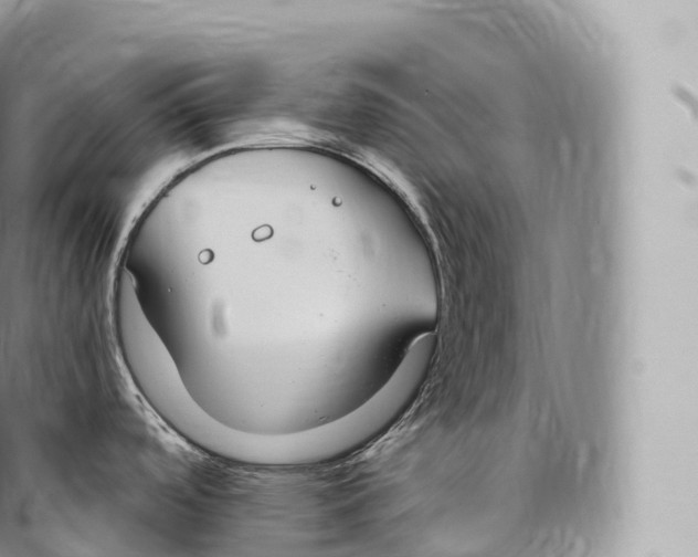 X0000096491488200802141733