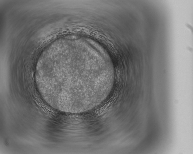 X0000096491489200802141733