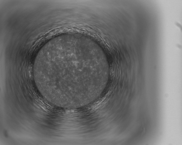 X0000096491490200802141733