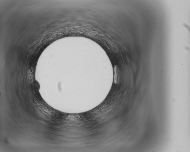 X0000096491491200802141733